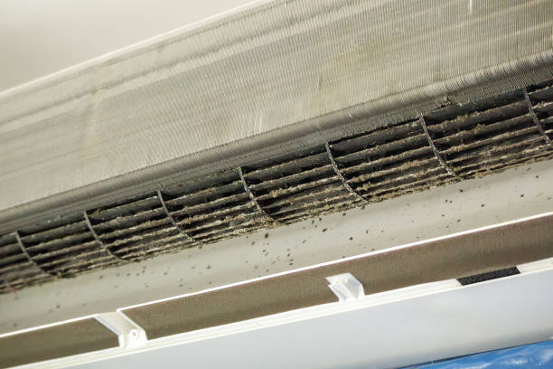 Best Mold and Mildew Removal from Ducts in Irvington, KY